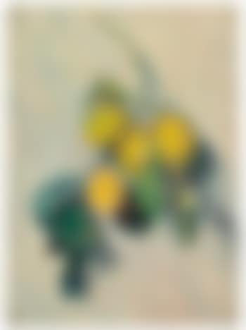 Branche De Citronnier (preview)