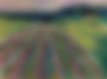 Pløyemark (Ploughed Field) (preview)