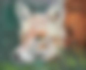 Foxy lady (preview)