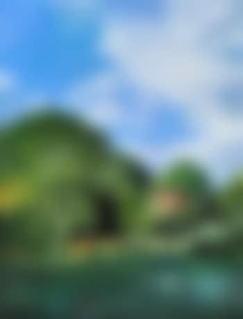 The Glebe Gallery (preview)