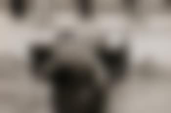 Bretagne, Huelgoat (preview)