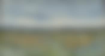 Dornoch Moors (preview)