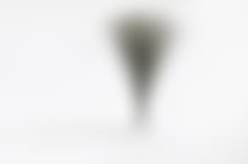 Sans titre (Spray) (preview)