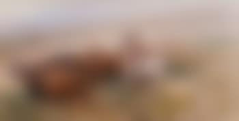 Buffalo Hunt (preview)