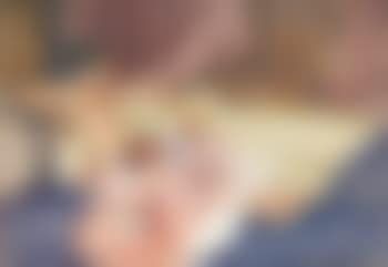 Olearia (preview)