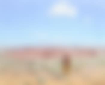 Navajo Sheep 3 (preview)