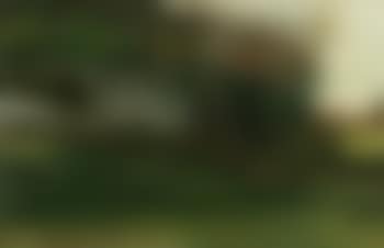 Landscape with windswept trees (preview)