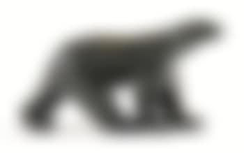 Ours Blanc (preview)