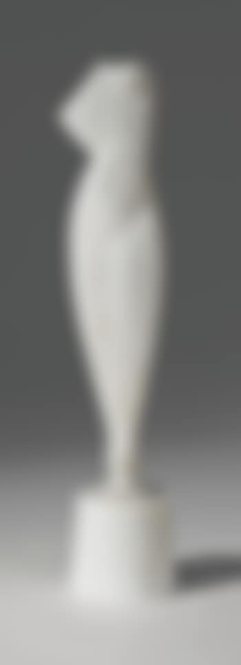 Flat Torso (preview)