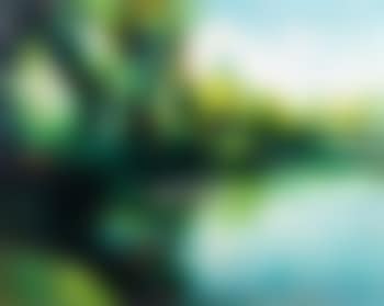 Landscape (preview)