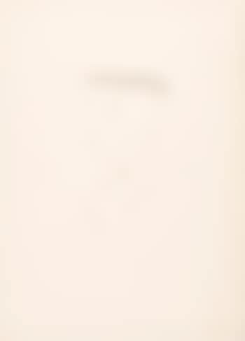 Ohne Titel (preview)