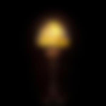 Mushroom lamp (preview)