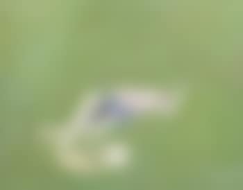 Girl Lying on Grass (preview)
