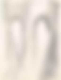 Untitled (Brooklyn Bridge) (preview)