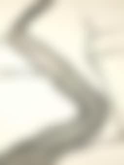 Drawing I (preview)
