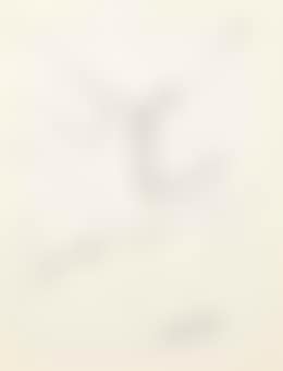 Untitled (Cliff) (preview)