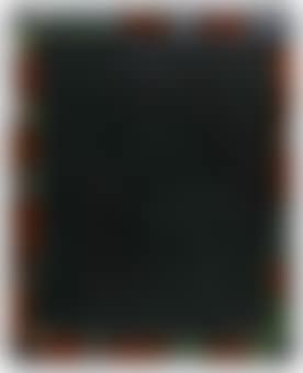 Fug (Mirror painting) (preview)