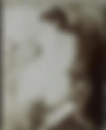 Scène Érotique (D'Apres Bracquemond) (preview)