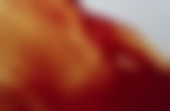 Blood and Semen V (preview)