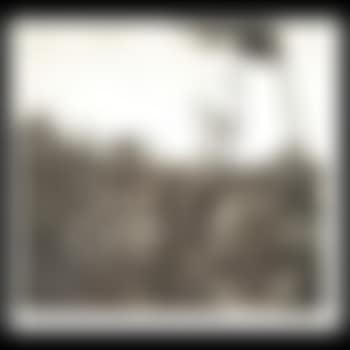 Revolt (preview)