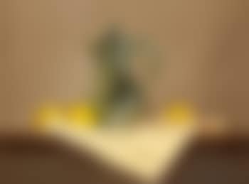 Lemons, Silver & Mushrooms (preview)