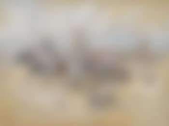 Women of the Plains (preview)