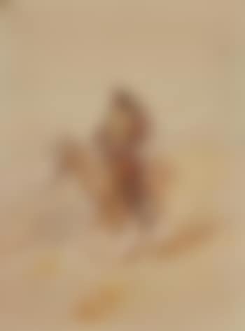A Crow Chief on Horseback (preview)