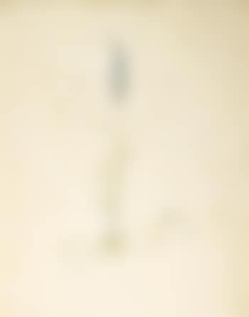 Lupine (preview)