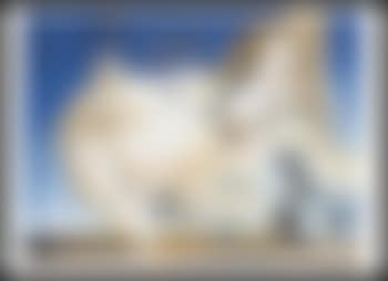 Il grande masturbatore (preview)