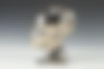 Profile of tribal figure (preview)