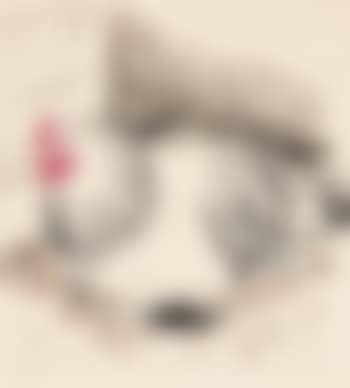 Untitled (preview)