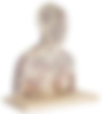 Untitled (Bust) (preview)