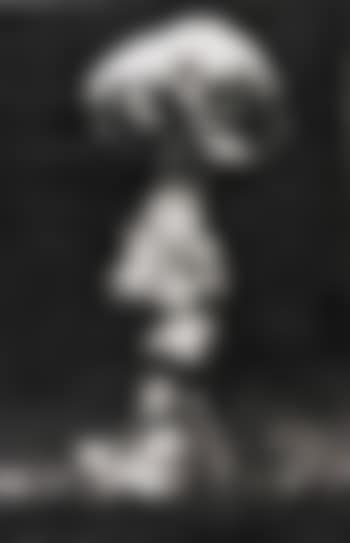 Study of Dog Test (preview)