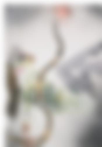 Untitled (Female in Fishnet) (preview)