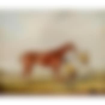 'Red Rover' (preview)