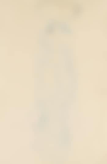 Stehender Halkbakt Mit Verdecktem Gesicht Von Vorne (Semi-nude Woman Standing With Her Face Covered, Seen From The Front) (preview)