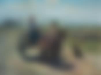 Encuentro en el campo (preview)