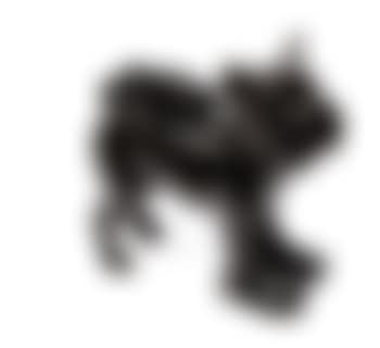 Cloned Griffon Bruxellois with Pet Bottle (preview)