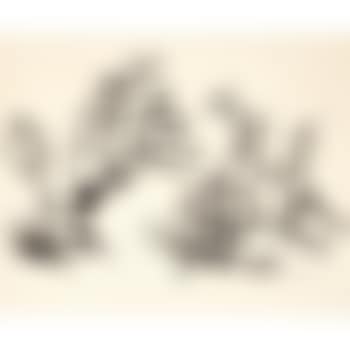 Two Equestriennes (preview)