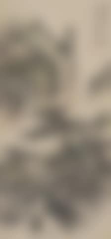 Landscape (preview)