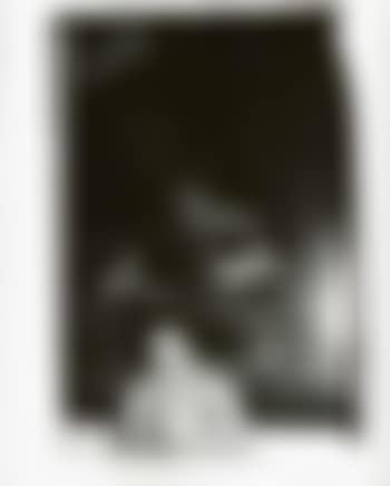 Lou Reed (preview)