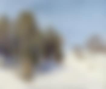 Winterlandschaft (preview)