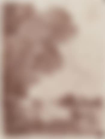 Orphée charmant les fauves (preview)