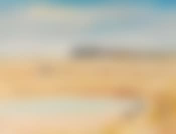 Irrigation Lake, Wimmera (preview)