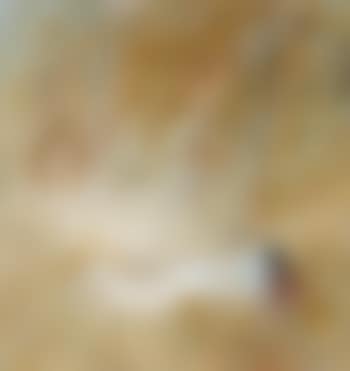 Figures in a dry landscape (preview)