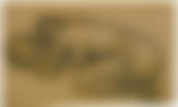 Desnudo (preview)