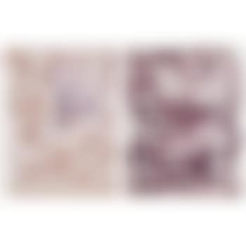(i) Woman with Dove in Purple; (ii) Woman with Dove (preview)