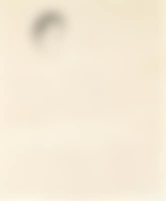 Portrait of a seated woman (preview)