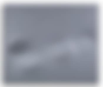 Quattro ovali in grigio (preview)