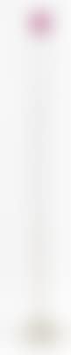 Signal (from Series 1, no. 264) (preview)